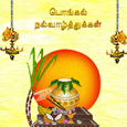 Pongal Tamil Greetings